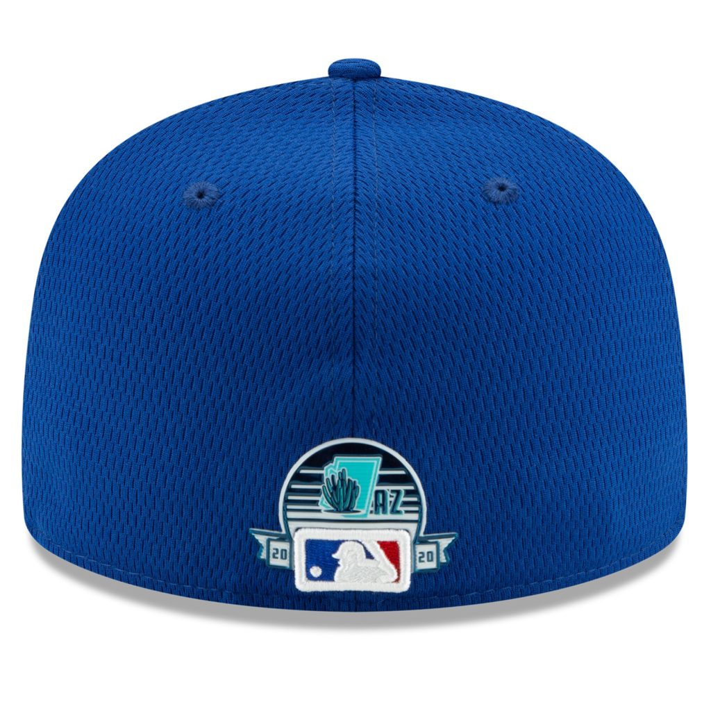 cubs spring training hat 2020