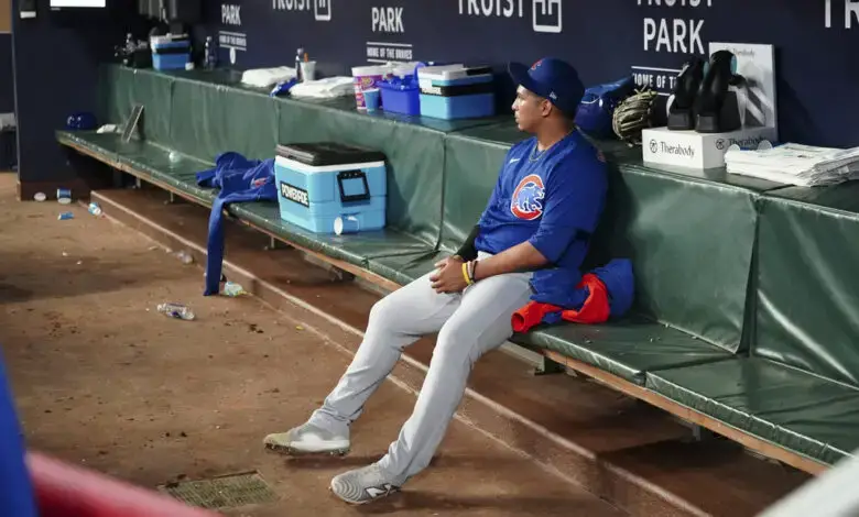A Cubs minor leaguer may not make World Series, but his shoes have