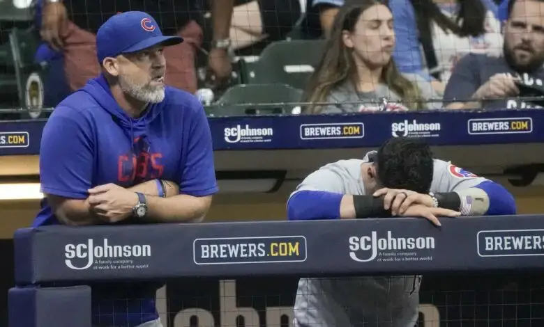 Dansby Swanson and Cody Bellinger in Cubs gear from Cubs camp! : r