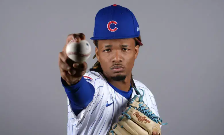 So Why Did Cubs DFA Promising Pitching Prospect Michael Arias? -